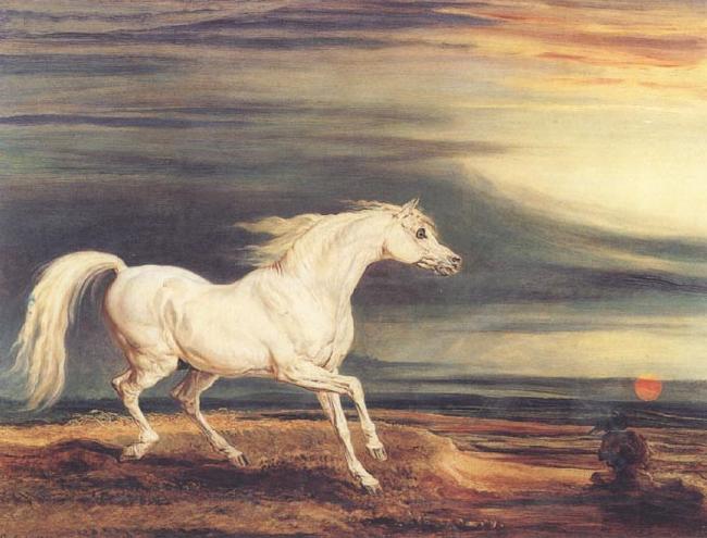 James Ward Napoleon's Horse,Marengo at Waterloo France oil painting art